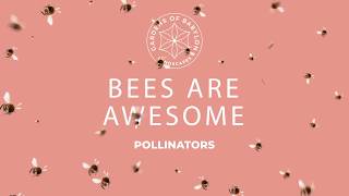 Bees Are Awesome  Plants to Help Pollinators [upl. by Retrop323]