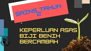 Sains Tahun 2 Kepentingan Tumbuhtumbuhan cikgooTube CikguZoul [upl. by Grados471]