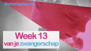 13 weken zwanger  ikenmamanl [upl. by Yelsa12]