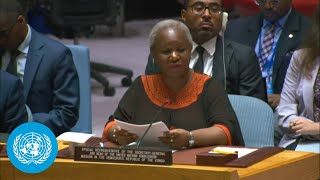 MONUSCO Chief on the Democratic Republic of the Congo Situation  UN Security Council Briefing [upl. by Aerdnaxela]