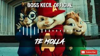 ARNON TE MOLLA ft Killua  Chipmunk Version [upl. by Ngo]