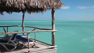 Melia Cayo Guillermo Cuba Resort Tour  Cayo CoCo Hotel  Beach  Pool amp Rooms [upl. by Yelsnia]