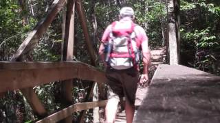 Ellenborough Falls Mid North Coast NSW [upl. by Nwahsyar]