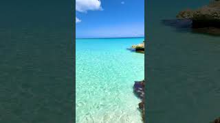 The worlds most beautiful beach🤩🏝 shorts short beach anguilla caribbean travel [upl. by Kirch]