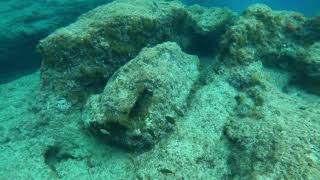 Crete Snorkeling  Nana Golden Beach [upl. by Rutan185]