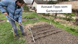 Jungpflanzen kaufen oder direkt säen 🧑‍🌾 AussaatTipps für Anfänger bis Fortgeschrittene [upl. by Alby]