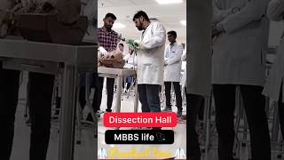 Dissection Hall  MBBS life  mbbs practical doctors shorts viralvideo trending shortsfeed [upl. by Siana]