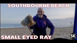 Southbourne Beach Fishing  Small Eyed Ray [upl. by Lukasz]