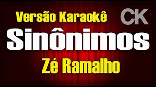 Zé Ramalho Sinônimos Karaokê [upl. by Ecadnarb]