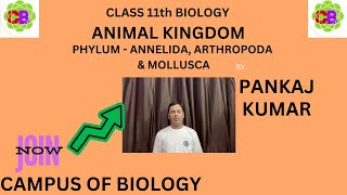 PHYLUM  ANNELIDA ARTHROPODA amp MOLLUSCA  ANIMAL KINDOM  CLASS 11th BIOLOGY  CBSE  NCERT [upl. by Nymsaj]