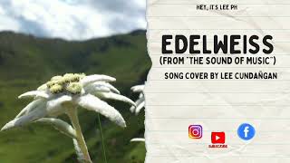 Song Cover Edelweiss [upl. by Eilsek]