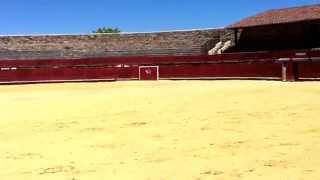 Candelario Bejar Salamanca la plaza de toros de El Castañarquot es la más antigua del mundo [upl. by Allimrac710]