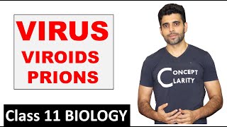 VIRUSVIROIDS amp PRIONS  Class 11 Biology [upl. by Oyr824]