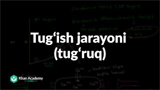 Tugʻish jarayoni tugʻruq  Homiladorlik va homiladorlik asoratlari  Tibbiyot [upl. by Assereht]