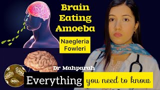 How to prevent Brain Eating Amoeba 🦠 NaegleriasisPrimary Amebic Meningoencephalitis healthcare [upl. by Aisat383]