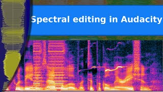 Sound  Precision editing by frequency in Audacity using the spectrograph display [upl. by Alvy855]