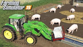 Hodowla świń  Farming Simulator 19  32 [upl. by Dloniger]