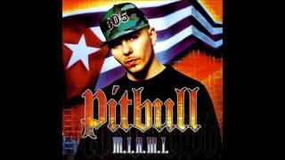 Pitbull  Dammit Man [upl. by Anwaf]