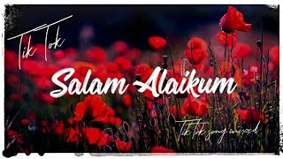 Salam Alaikum Tiktok Song 147  Alpha Blondy  Jérusalem Tik Tok Mix [upl. by Aticnemrac]