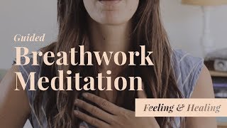 Guided Breathwork Meditation [upl. by Arotak]