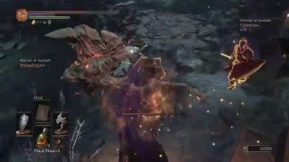 DARK SOULS™ III Profaned Capital amp Siegward [upl. by Kcirddehs247]