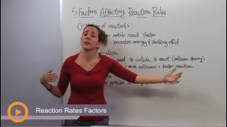 Reaction Rates Factors [upl. by Alard]