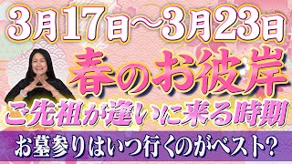 【春のお彼岸】3月17日〜23日 ご先祖と繋がるお彼岸 [upl. by Yelyac]