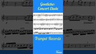 Goedicke Concert Etude op 49 [upl. by Kciredohr]