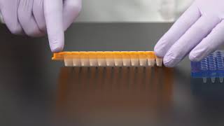 Learn How to Choose a PCR Plate [upl. by Honeyman]