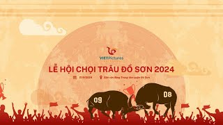 LIVESTREAM  LỄ HỘI CHỌI TRÂU TRUYỀN THỐNG ĐỒ SƠN NĂM 2024 [upl. by Beutler]