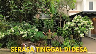 Rumah dengan Kebun dan Kandang Ayam [upl. by Kalinda]