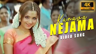 Kanava Nejama  4k Video Song  Jithan Rameshl Mallika Kapoor Srikanth Deva  Pulivarudhu [upl. by Elag]