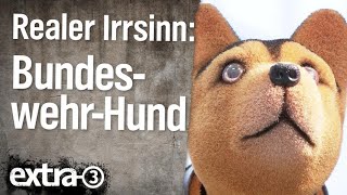 Realer Irrsinn Tierarztrechnung für BundeswehrHund  extra 3  NDR [upl. by Crosse]