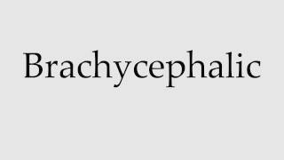 How to Pronounce Brachycephalic [upl. by Crispin]