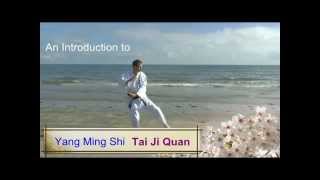 Yang Ming Shi Tai Chi DVD Trailer [upl. by Labina393]