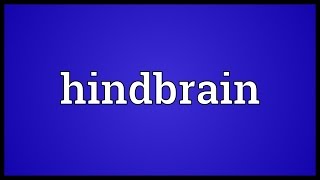 Hindbrain Meaning [upl. by Kenelm167]