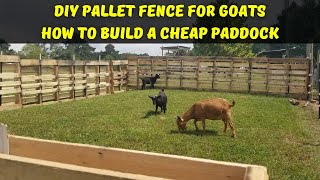 DIY Pallet Fence For Goats  How To Build A Cheap Paddock [upl. by Aicnetroh]