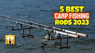 5 Best Carp Fishing Rods In 2023  Rod For Carp Fishing [upl. by Germana]