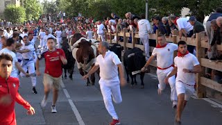 Encierro Tafalla 15082024  Ganadería Hermanas Azcona  Fiestas de Tafalla [upl. by Eddana950]