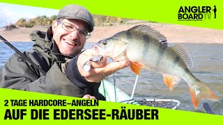 Angeln am Edersee I Edersee Barsch  Anglerboard TV [upl. by Afital]