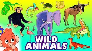 Learn Wild Animals For Kids  Wild Zoo Animals Names and Sounds for Children  Club Baboo [upl. by Dnallor]