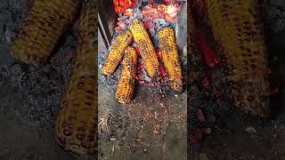 Bhutta 😋  corn shorts shorts food corn [upl. by Ttam]