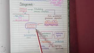 Membranoproliferative Glomerulonephritis  Pathology [upl. by Brine]