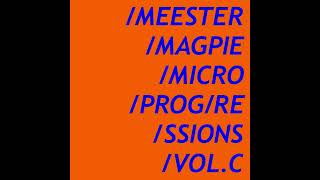 Meester Magpie  Microprogressions VolC 2024 FULL ALBUM [upl. by Niela]