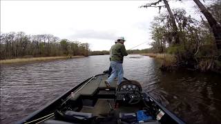 Tensaw River Flippin amp Pitchin Bass Fishing [upl. by Nedloh570]