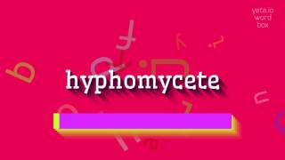 HYPHOMYCETE  HOW TO PRONOUNCE IT hyphomycete [upl. by Anifled]