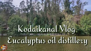 Kodaikanal Vlog  Eucalyptus oil distillery  Travel vlog  Tahirs Edge [upl. by Sidky120]