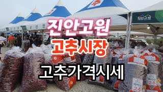 2024 진안고원 고추시장건고추 가격시세진안고랭지 햇고추농민과 직접 직거래장터 [upl. by Rehpotsirahc252]