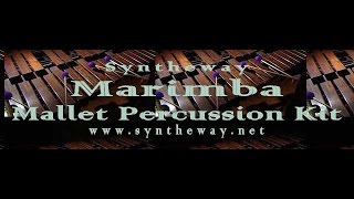 Virtual Mallet Percussion Marimba Xylophone Vibraphone Vibes Vibraharp VST Plugins Software [upl. by Pirri]