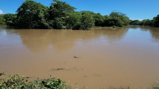 After dangerous flooding and weather in Jamaica [upl. by Kelcey]